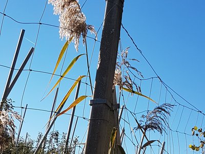 Die Pfarrei Franzensfeste Die Pfarrei Franzensfeste