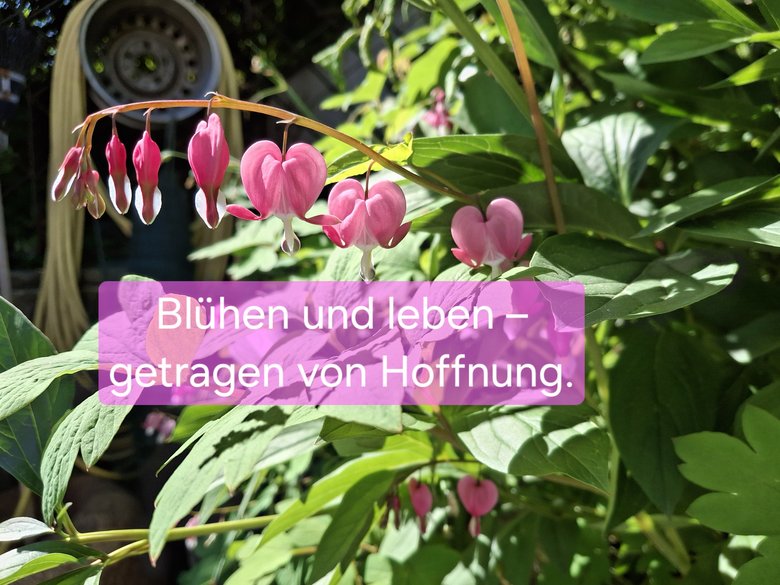 Die Pfarrei Franzensfeste Die Pfarrei Franzensfeste