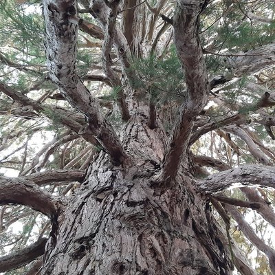 Bressanone Bressanone