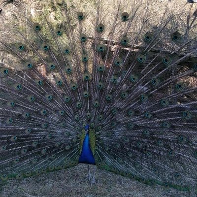 Die Pfarrei Franzensfeste Die Pfarrei Franzensfeste