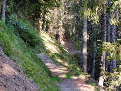 Die Pfarrei Afers Wem Gott will rechte Gunst erweisen, den schickt er in die weite Welt, dem will er seine Wunder weisen, in Berg und Wald und Strom und Feld (Eichendorff)