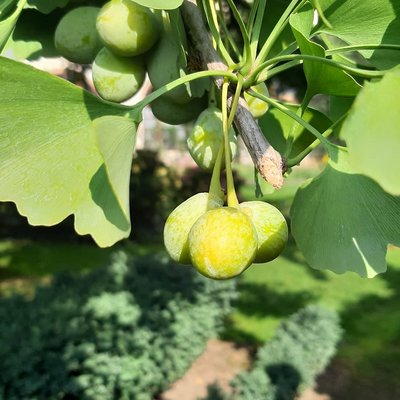 Bressanone Bressanone