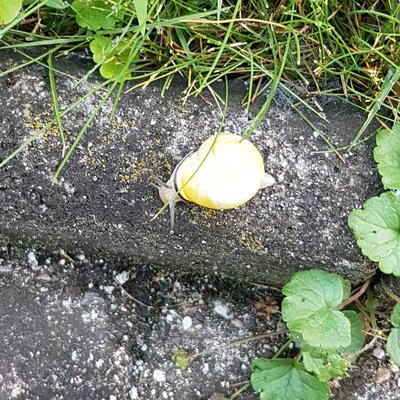 Die Pfarrei Franzensfeste Die Pfarrei Franzensfeste